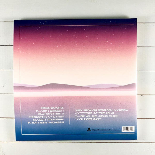 La Dispute : Panorama (LP,Album,Limited Edition)