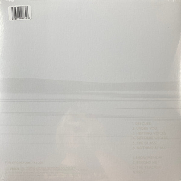Foo Fighters : But Here We Are (LP,Album)
