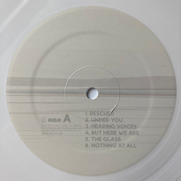 Foo Fighters : But Here We Are (LP,Album)