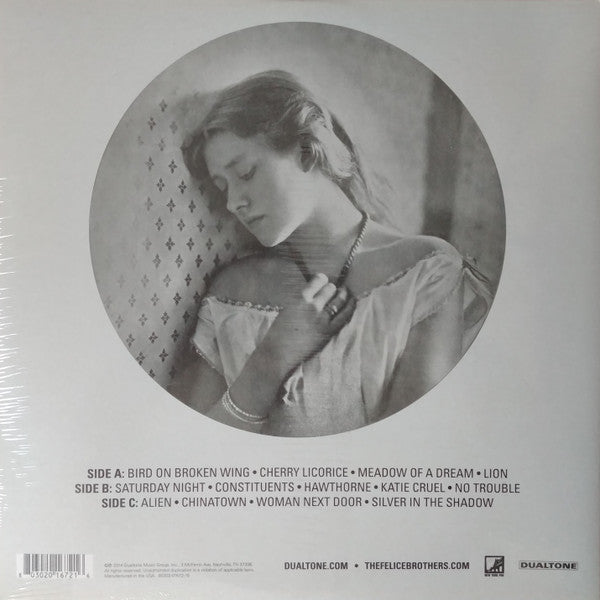 Felice Brothers, The : Favorite Waitress (LP,Album)