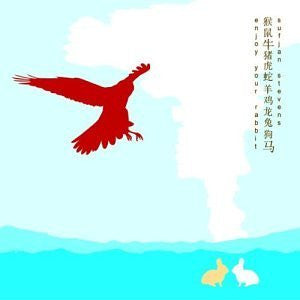 Sufjan Stevens : Enjoy Your Rabbit (LP,Album)