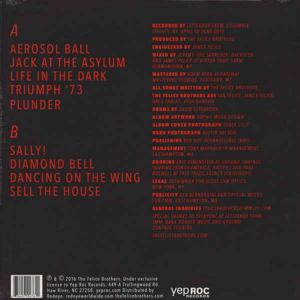 Felice Brothers, The : Life In The Dark (LP,Album,Limited Edition)