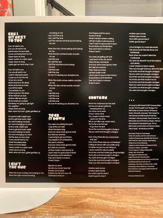 Spoon : Hot Thoughts (LP,Album)