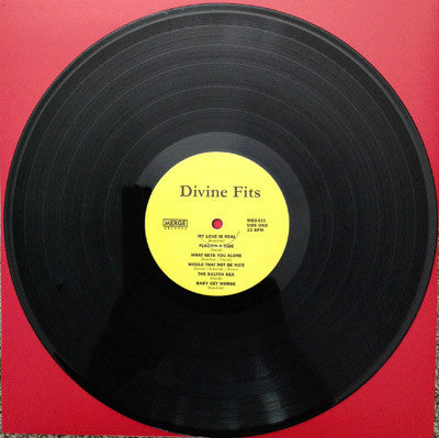 Divine Fits : A Thing Called Divine Fits (LP,Album)