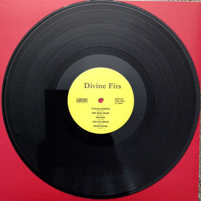 Divine Fits : A Thing Called Divine Fits (LP,Album)